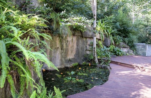 Kiels Mountain House | Rainforest Retreat in Kiels Mountain