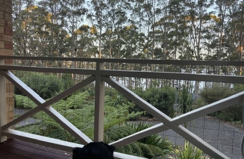 Denmark House | Raylea Retreat - Rest and Relax surrounded by nature - fur baby friendly!