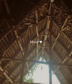 Auroville House | Reve living