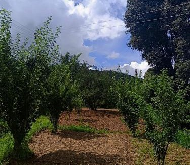Mukteshwar House | Riturain