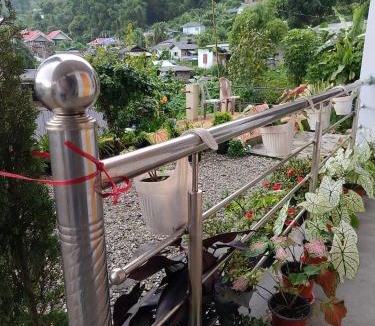 Kumai House | Rongo's Riverside Farm Stay