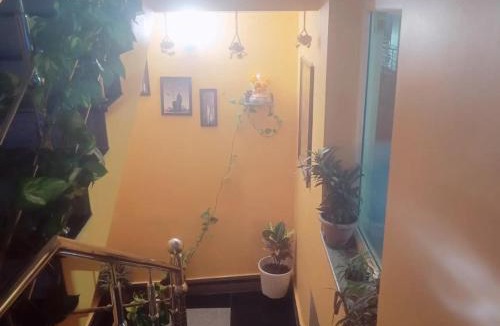 Tapovan House | Rudransh home stay