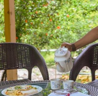 Mohal Villa | SaffronStays The Elements