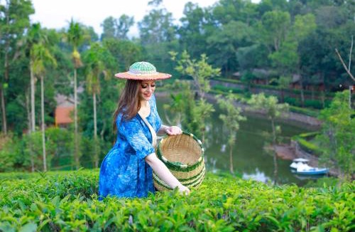 Vagamon Resort | Saj Vagamon Hideout