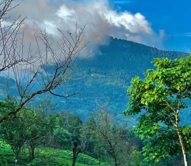 Kalimpong House | Samabeong Homestay Tindhurey