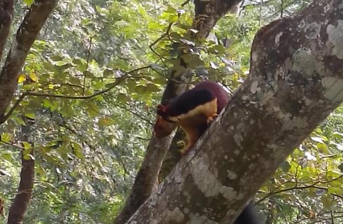 Valparai House | Sami_Vadakkens home stay