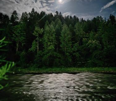 Bomdila House | Sangti River Front Homestay