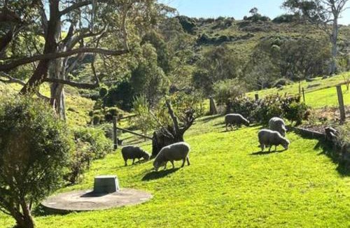 Central Tilba House | Serene Farm Stay, Modern 3BD, Central Tilba near Mystery Bay! Pets OK