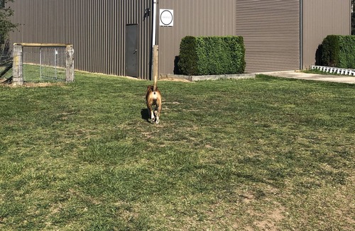 Manchester Square Other | Shed 85 - peace and privacy - pet friendly