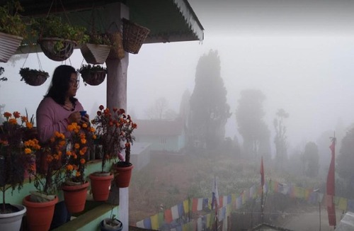 Darjeeling House | Sherpa Homestay - Darjeeling