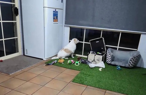 Griffith House | Short term stay perfect for the business traveller Pet friendly