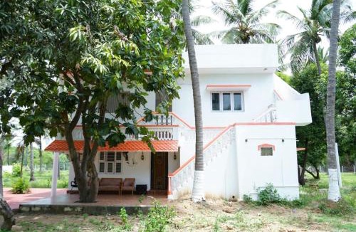 Walajabad House | Siesta Inn - Lake view