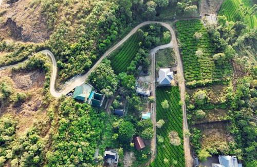 Vagamon Other | Silverr View Resort's
