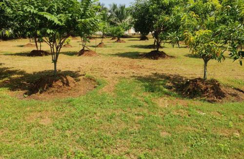 Bhimunipatnam Villa | Siva Rama garden 5star stay , swimming pool,room nomber 3&4, , bheemili to dorathota