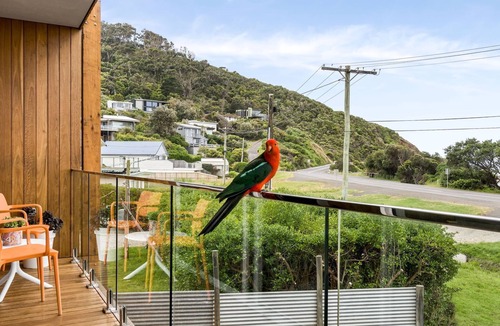 Separation Creek House | Six Degrees - Across the road from the Separation Creek beach