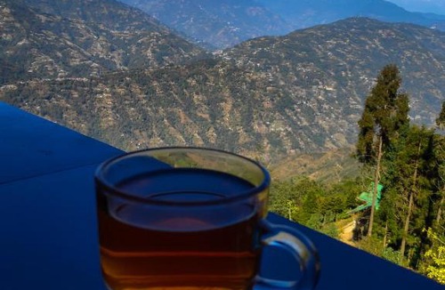 Darjeeling Ski Chalet | Solitude In Himalayas