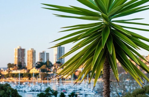 Rushcutters Bay Apartment | Sophisticated penthouse in the exclusive waterfront location *25% DISCOUNT!