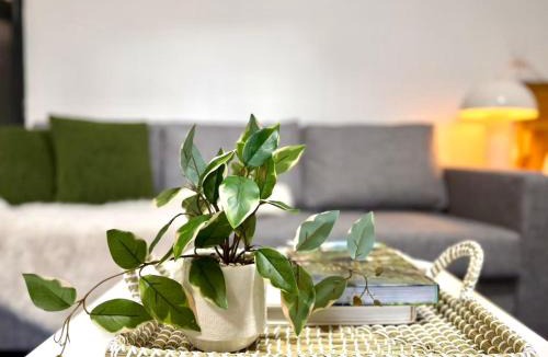 Annandale House | spacious self-contained studio near Sydney CBD