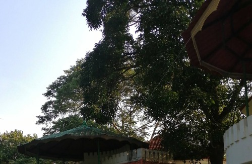 Santhanpara Hotel | Spice Villas Holiday