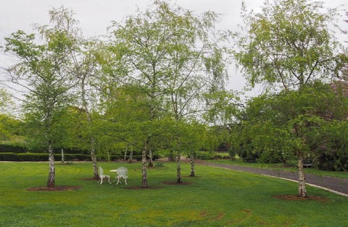 Stanley Cottage | Stanley Hideaway - peaceful and pet friendly