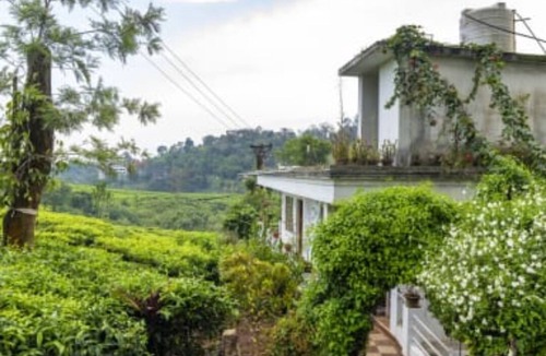 Chithirapuram Cottage | Starlit holidays homes Chithirapuram near Munnar - Room #1