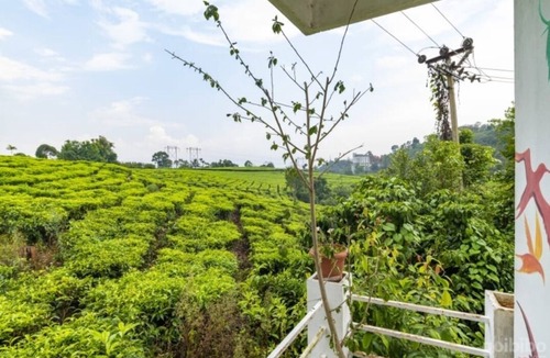 Chithirapuram Bed & Breakfast | Starlit holidays homes Chithirapuram near Munnar