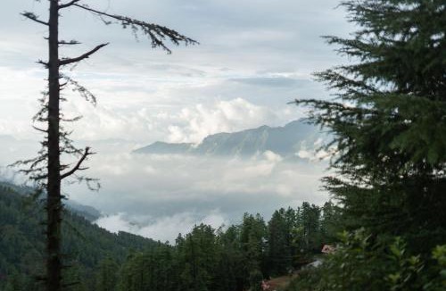 Shimla Villa | StayVista at Wood House Retreat