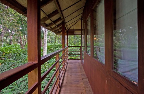 Vandanmedu Cottage | Surrounded Grassland Tree house Stay