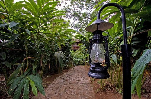 Vandanmedu Cottage | Surrounded Grassland Tree house Stay