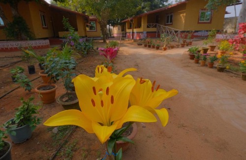 Bhubaneshwar House | Svanir Wilderness Homestay, Bhubaneswar
