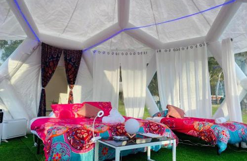Comaum Other | Taj Mahal upgraded Hex bubble