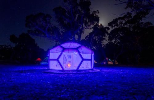 Comaum Other | Taj Mahal upgraded Hex bubble