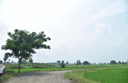 Rampur Hat Hotel | Tarapith Tapabon Eco Resort