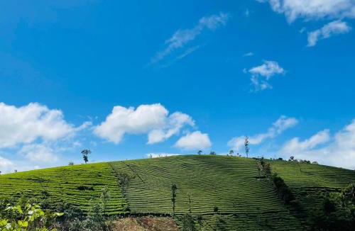 Elappara Other | TENT LIFE
