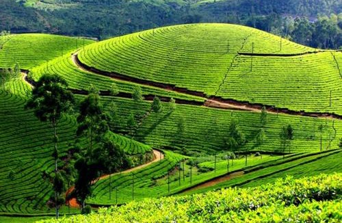 Idukki Apartment | THE ARK