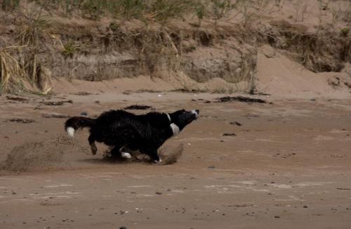 Stanley House | @ the beach & not quite @ the beach Holiday Cottages - Stanley