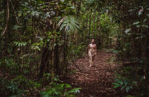Tarzali Cabin | The Canopy Rainforest Treehouses & Wildlife Sanctuary
