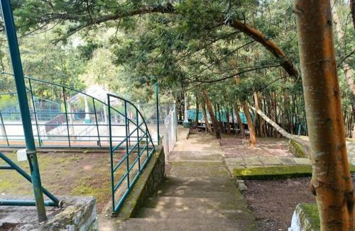 Kotagiri Resort | The Den by Trees