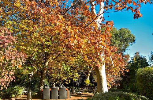 Gooseberry Hill Apartment | The Hideaway at Gooseberry Hill