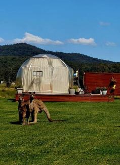 Mount Vincent Hotel | The Hunter Valley Star Gazing BubbleHotel