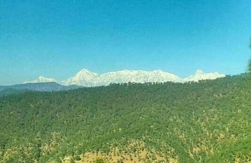 Almora House | The Mountain Home Stay