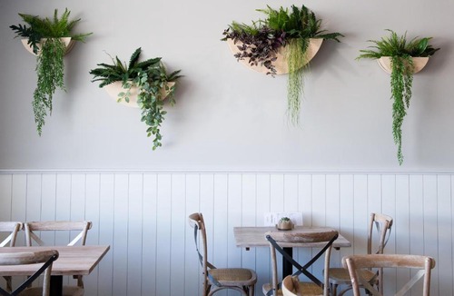 Orange East Hotel | The Ophir Hotel