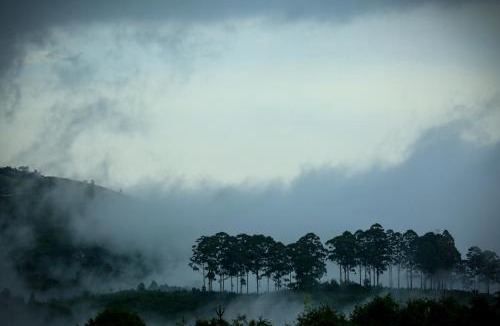 Kodaikanal House | The Pear County