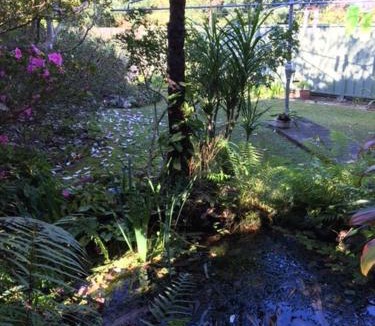Coffs Harbour Apartment | The singing frogs studio
