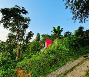 Darjeeling House | The Tea Tribe Stay