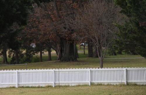 Tenterfield House | The Workers Cottage