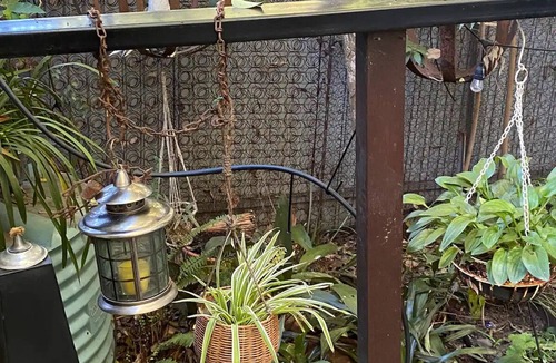Corowa Apartment | This pet friendly retreat is excellent to relax over looking a "rain forest".