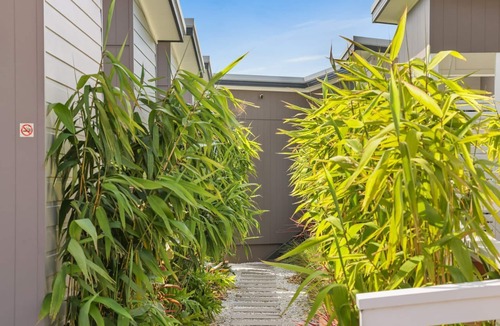 Sanctuary Point Cabin | Tiny House Stayz Stay for 3 Pay for 2! - House 4