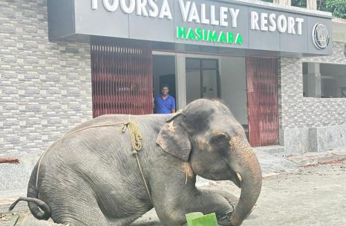 Alipurduar House | Toorsa Valley Resort