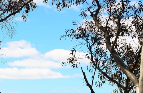 Rockley Mount Cottage | Tranquil Bush Retreat close to Bathurst